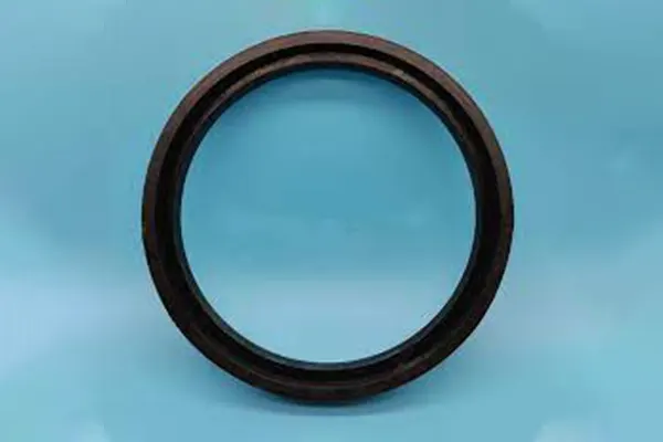 Thrust Ring DN-200